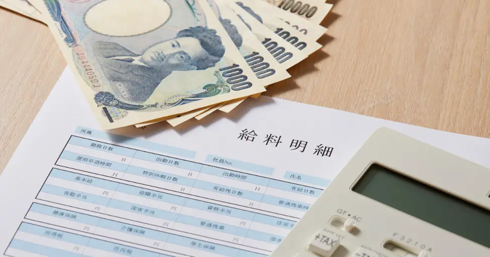 how automated salary processing tools reduce payroll errors