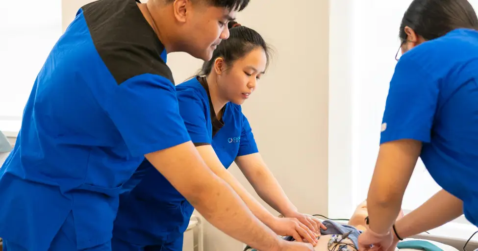 How do virtual nursing assistants work
